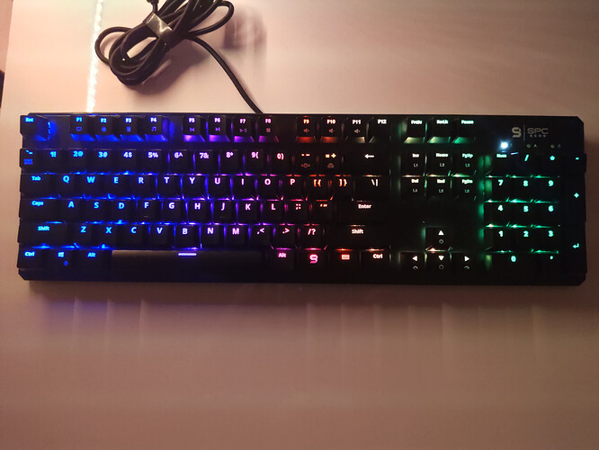 IMG_20210210_202837|666x500