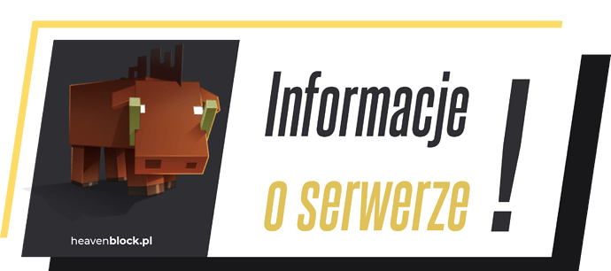 informacje_o_serwerze|690x306
