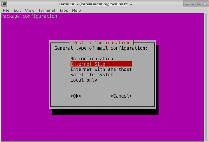 Terminal%20-%20(xenial)admin%40localhost%3A%20~_003|690x470