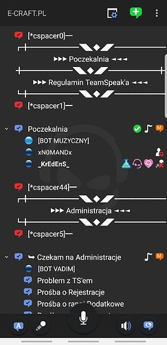 Screenshot_20200316-160345_TeamSpeak|243x500