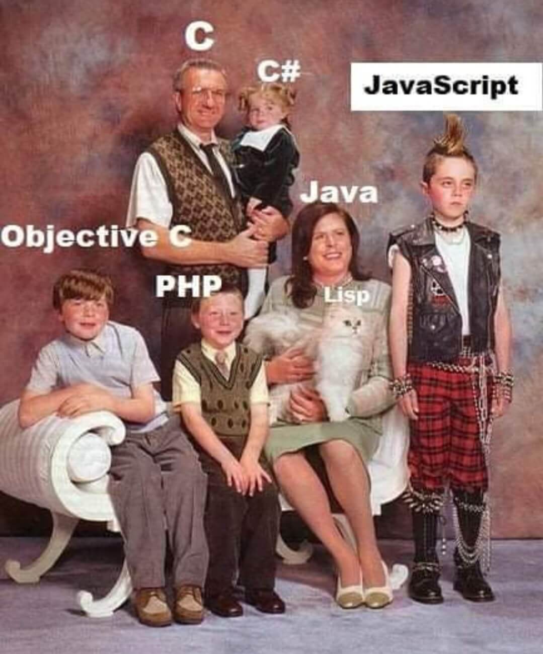 Programming-Memes-JavaScript-vs-Other-Languages|415x500