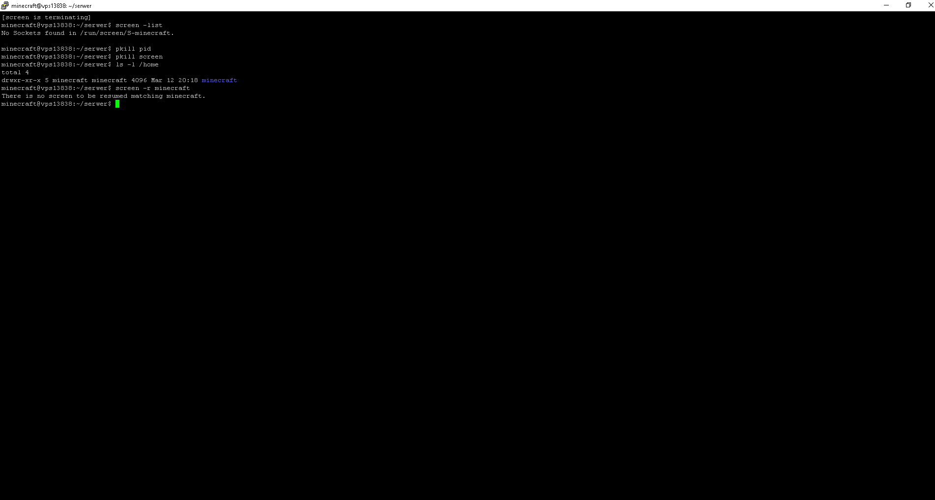 minecraft@vps13838_ ~_serwer 15.03.2021 14_38_17|690x368