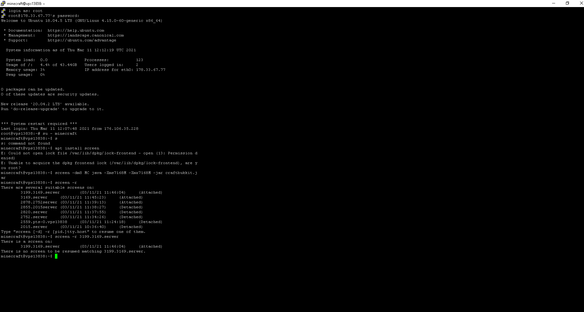 minecraft@vps13838_ ~ 11.03.2021 13_16_29|690x368