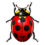 Best Bug Hunter|64x64